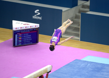 Bakıda idman gimnastikası üzrə Dünya Kuboku yarışlarının ikinci günü start götürüb. Azərbaycan, 20 fevral, 2016